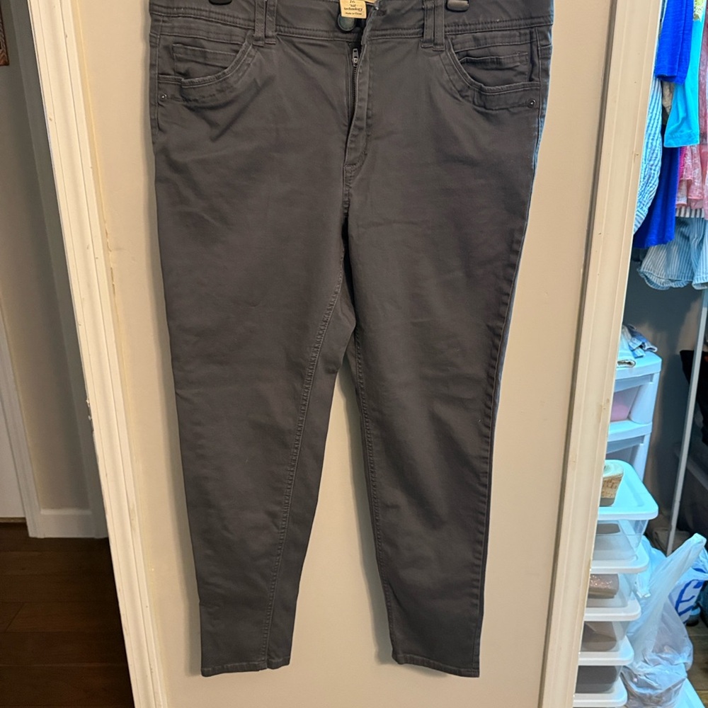Democracy Charcoal Ankle Jeans